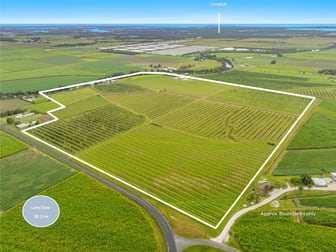 337 South Bank Road Palmers Channel NSW 2463 - Image 1