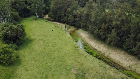 3643 Taylors Arm Rd Burrapine NSW 2447 - Image 1