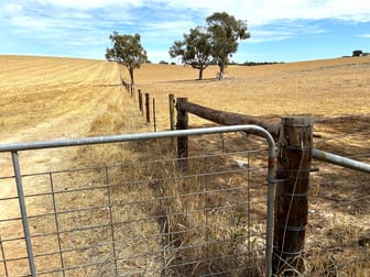 Lot 189 and 323 Roy Lawries Road Lochaber SA 5271 - Image 1