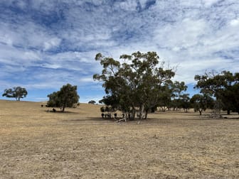 Lot 189 and 323 Roy Lawries Road Lochaber SA 5271 - Image 3
