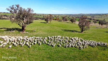 Woburn Road Harden NSW 2587 - Image 1