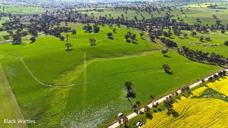Woburn Road Harden NSW 2587 - Image 2