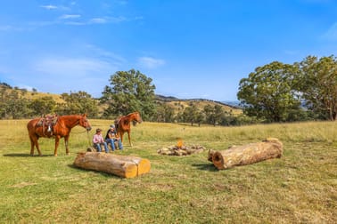830 Weabonga Road Weabonga NSW 2340 - Image 1