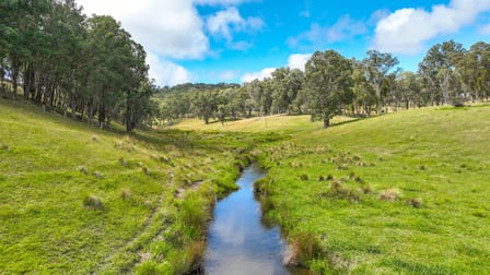 830 Weabonga Road Weabonga NSW 2340 - Image 2