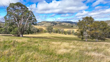 830 Weabonga Road Weabonga NSW 2340 - Image 3