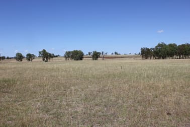 'Red Hill' 1263 Copeton Dam Rd Inverell NSW 2360 - Image 1