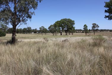 'Red Hill' 1263 Copeton Dam Rd Inverell NSW 2360 - Image 2