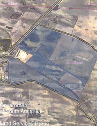 Lot 1 Stones Track & Lot 17 Kulkami Road Karoonda SA 5307 - Image 1