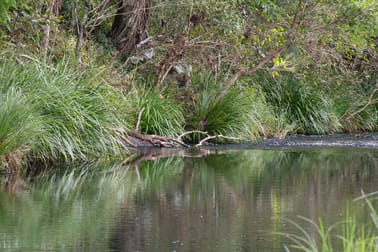 477 Eden Creek Road Wyneden NSW 2474 - Image 1