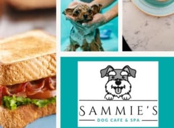 Animal Related  business for sale in Moonee Beach - Image 1