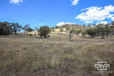 82, 4108 Tent Hill Road Emmaville NSW 2371 - Image 3