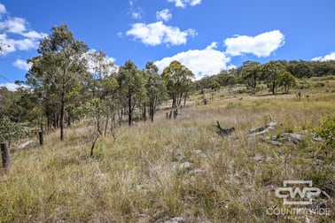 1, 61, 4108 Tent Hill Road Emmaville NSW 2371 - Image 3