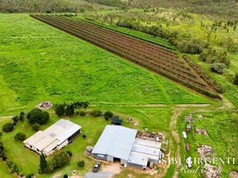 994 Leafgold Weir Road Dimbulah QLD 4872 - Image 3