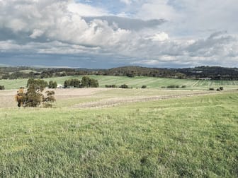 Lot 20 Macdonald Rd Stanley Flat SA 5453 - Image 1