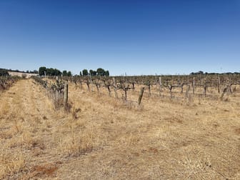 Lot 20 Macdonald Rd Stanley Flat SA 5453 - Image 3