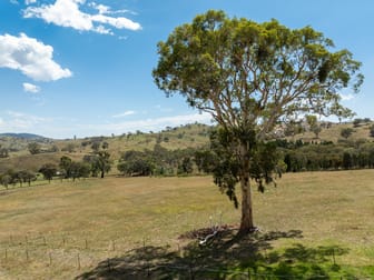 'Gully Run' 487 Mount McDonald Road Wyangala NSW 2808 - Image 3