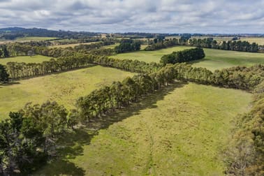 251 Mount Rae Road Roslyn NSW 2580 - Image 3