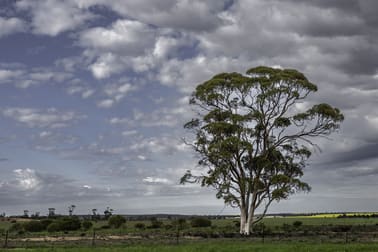 16757 Luckman Road Welbungin WA 6477 - Image 3