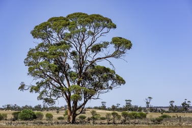 16757 Luckman Road Welbungin WA 6477 - Image 2