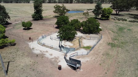 409 Trungley Hall Post Office Road Temora NSW 2666 - Image 1