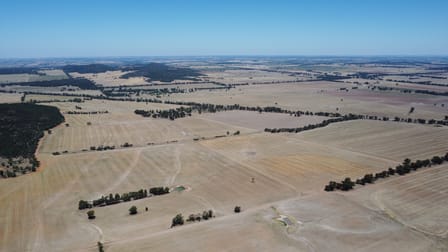 409 Trungley Hall Post Office Road Temora NSW 2666 - Image 2