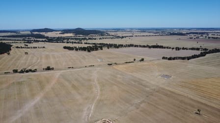 409 Trungley Hall Post Office Road Temora NSW 2666 - Image 3