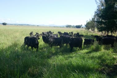 150 Fairy Hill Station Rd Casino NSW 2470 - Image 3