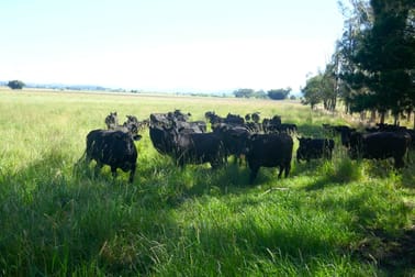 Lot 10 & 1 Shephard's Road Casino NSW 2470 - Image 2