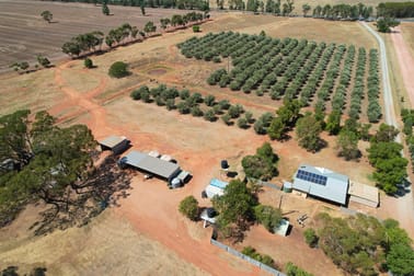 9 The Mcgrane Way Tullamore NSW 2874 - Image 1
