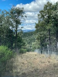 10 Mountain Creek Rd Mole River NSW 2372 - Image 3