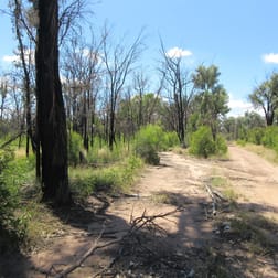 4645 Tara Chinchilla Road Tara QLD 4421 - Image 3