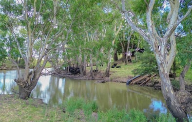 141 Lyndhurst Lane Rosenthal Heights QLD 4370 - Image 3