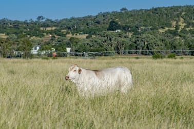 227 Hogg Rd Mount Tyson QLD 4356 - Image 3
