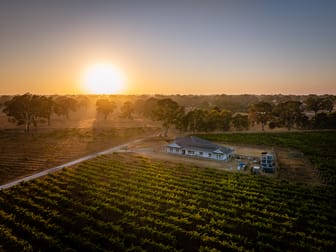108 Dergholm Rd Penola SA 5277 - Image 1