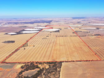 1053 Burns Road Lake Grace WA 6353 - Image 2