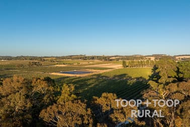 233 Pine Drive Nuriootpa SA 5355 - Image 3