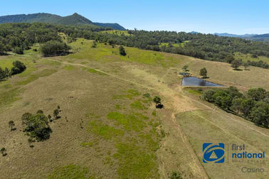 10366 Mount Lindesay Road Legume NSW 2476 - Image 2