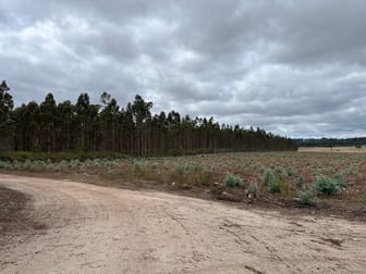 Lot 12913 Tannin Road Manjimup WA 6258 - Image 2