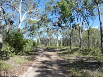 255 Mollenhagens Road Winfield QLD 4670 - Image 2