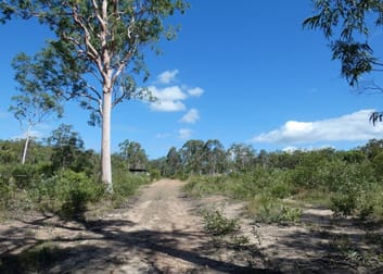 255 Mollenhagens Road Winfield QLD 4670 - Image 3