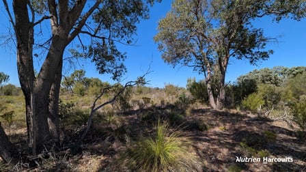 Lot 3698 Timaru Road Muchea WA 6501 - Image 1