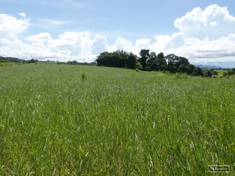 268 Nicholson Road Bamboo Creek QLD 4860 - Image 2