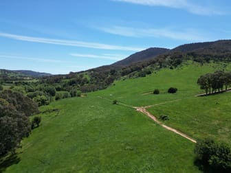 1529 Georges Creek Road Georges Creek VIC 3700 - Image 2