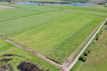 403 Peggy Bog Road Airdmillan QLD 4807 - Image 3