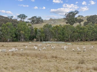 1690 Cooks Hill Road Yass NSW 2582 - Image 2
