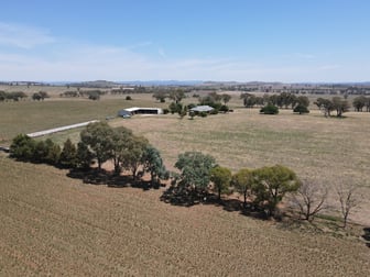 427 Gallaghers Road Canowindra NSW 2804 - Image 2