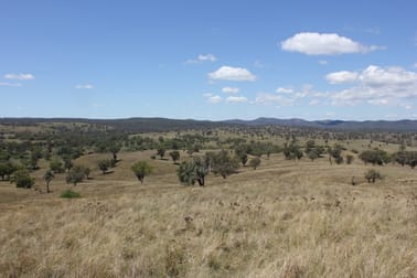 'Glenview' 1291 Auburn Vale Rd Inverell NSW 2360 - Image 1