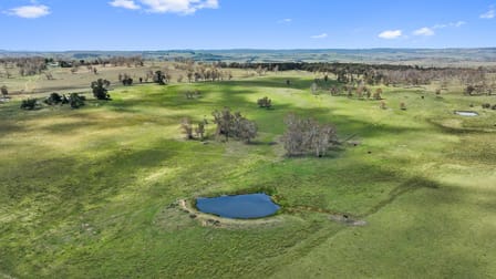 "Huntingdon" 285 Brackendale Rd Walcha NSW 2354 - Image 1
