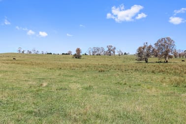 "Huntingdon" 285 Brackendale Rd Walcha NSW 2354 - Image 3