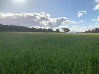 Lot 22 Clackline-Toodyay Road Hoddys Well WA 6566 - Image 1